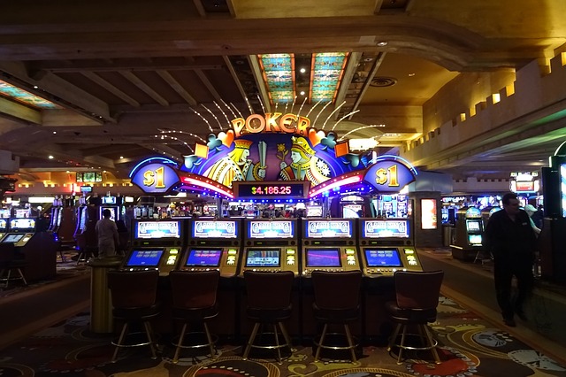 Bingo Adventure invites enthusiasts to dive into an exhilarating realm of gaming, rich with colorful visuals and engaging activities.